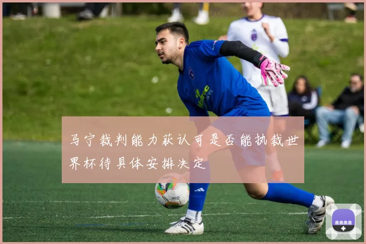 马宁裁判能力获认可是否能执裁世界杯待具体安排决定