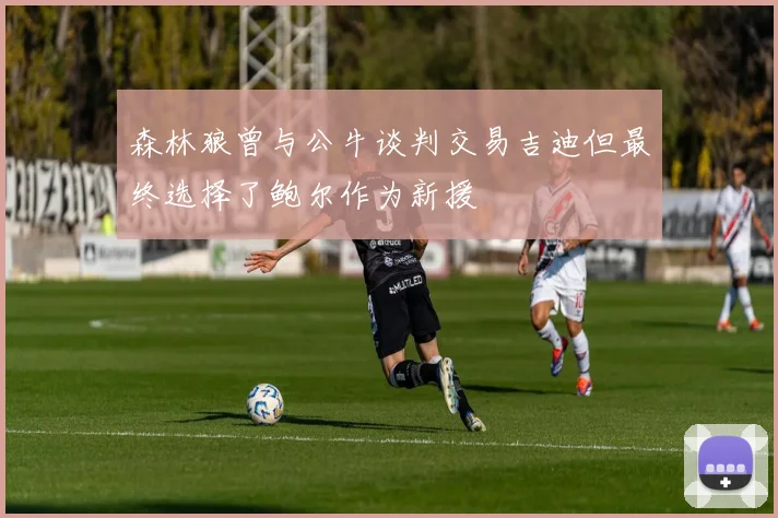森林狼曾与公牛谈判交易吉迪但最终选择了鲍尔作为新援